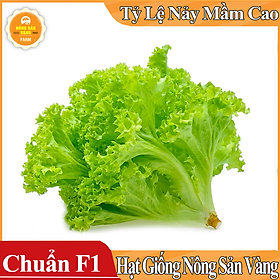 Mua Hạt giống Xà Lách Xoăn Xanh ( Gói 5 Gram ) - Nông Sản Vàng