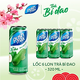 Lốc 6 Lon Nước Trái Cây Trà Bí Đao Pushmax (320ml x 6 Lon)