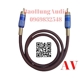 BÁO GIÁ Mã Hs Code Dây Cáp Tín Hiệu | Shopee Lazada Sendo Tiki mới nhất 68 Dây cáp tín hiệu hai đầu av jack tốt màu xanh