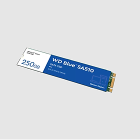 Ổ cứng SSD WD Blue SA510 500GB M.2 2280 WDS500G3B0B - Hàng Chính Hãng