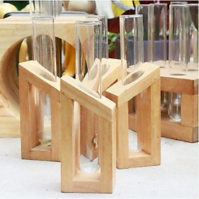 Bộ giá gỗ 1 ống nghiệm trồng cây thủy sinh
