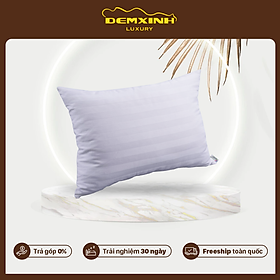 Mua Ruột gối ép Hanvico  lõi gối nâng đỡ đầu và cổ cho giấc ngủ sâu hơn - Đệm Xinh Luxury