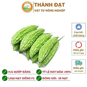 Mua Hạt giống mướp đắng  hạt giống khổ qua gói 10 hạt-Quả dài 30-35cm