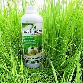 Mua RA RỄ NỞ BỤI CHAI 1 LÍT