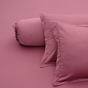 Bộ Drap Thun Lạnh Hàn Quốc ( 4 món } màu ruốc - đủ size