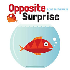 Sách tiếng Anh - OPPOSITE SURPRISE