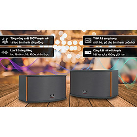 Mua Loa Karaoke gia đình Zenbos CR5 300W/Loa Bass 20 cm  3 đường tiếng(Hàng Chính Hãng)