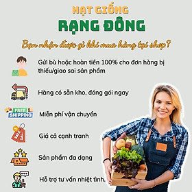 Hạt giống Bắp Cải - Bông Cải (Súp Lơ) sinh trưởng khỏe, phù hợp khí hậu nóng - Hạt giống Rạng Đông