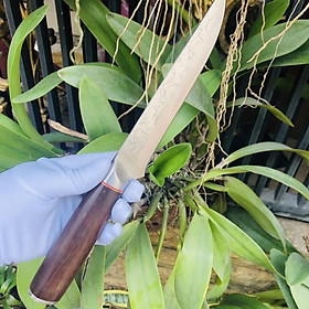 Mua Dao gọt  lọc xương Nhật hiệu Akatenki dài 30cm  dày 2mm  sắc bén  không rỉ