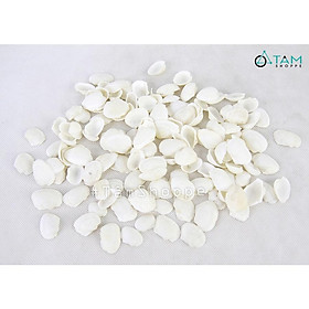 Vỏ sò huyết trắng nhỏ trang trí phong cách biển hủ 230-250g HOS-08