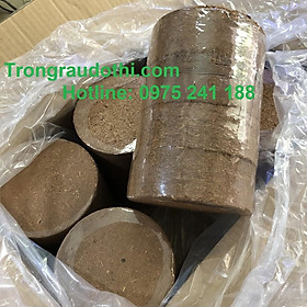 Mua Đất sạch mụn dừa đóng viên dùng trồng cây  trồng rau  ươm mầm.... tiện lợi (thùng 24 viên)