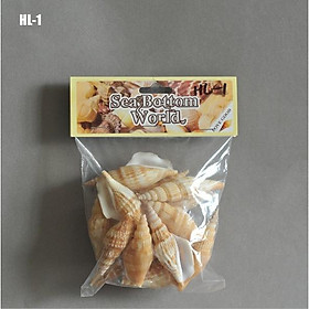 Mua KHO-HN * Set combo các loại vỏ ốc  vỏ sò tự nhiên đóng túi tiện dụng trang trí tiểu cảnh  khung ảnh  DIY