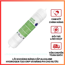 Mua Lõi Khoáng Nâng Cấp HYDROGEN ALKALINE Đại Việt  Hổ Trợ Giảm Sự Oxi Hóa  Xuất Xứ Hàn Quốc Hàng Chính Hãng