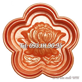 Mua Khuôn ép xôi hoa mai 5 cánh nhụy hoa cúc – Loại 16 cm – Mã số 1352