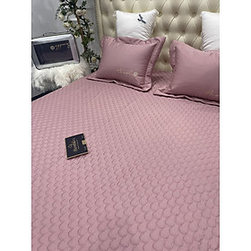 Ga chun trần bông 1m6x2m cottong lụa mềm mát