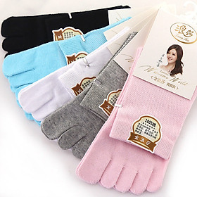 Tất Cotton Nữ Langsha