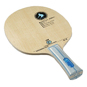 CỐT VỢT BÓNG BÀN 729 C3