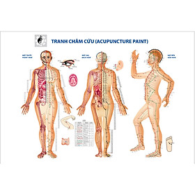 Mua (HCM)Tranh dán tường dưỡng sinh tâm thể tranh châm cứu tranh spa có sẵn keo