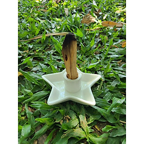Mua Đế Cắm Palo Santo Holder