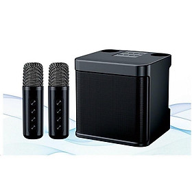 Mua Loa Karaoke Bluetooth YS 203 Kèm 2 Micro Không Dây  Âm Thanh Siêu Hay  Thiết Kế Sang Trọng Nhỏ Gọn Tiện Lợi  Dễ Sử Dụng