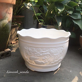 Mua chậu nhựa trắng hoa sen cao cấp đk 27cm