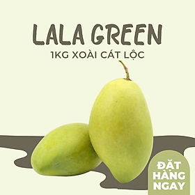 [CHỈ GIAO HCM] XOÀI CÁT HOÀ LỘC - 1KG