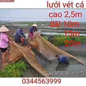 Lưới Quét cá - Dài 10m,15m,20m cao 2,5m