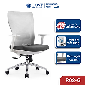 Ghế xoay văn phòng GOVI Ryan R02 - Lưng lưới, tựa tay chắn chắn, đệm ngồi êm ái