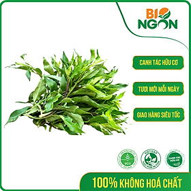 [Chỉ Giao HCM] - Rau rừng Hữu cơ (Gói 300g)