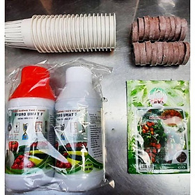 Mua Combo Trồng Thủy Canh Tĩnh Đầy Đủ Cho Người Mới Bắt Đầu