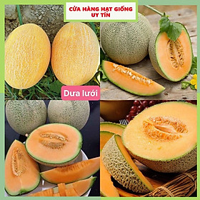 Mua Gói 30 hạt giống dưa lưới ruột vàng quả to siêu dễ trồng chịu nhiệt tốt cam kết chuẩn giống cửa hàng hạt giống uy tín