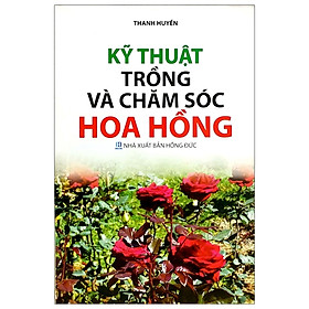 Hình ảnh Kỹ Thuật Trồng Và Chăm Sóc Hoa Hồng