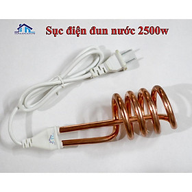 Mua Sục điện đun nước nóng 2500w