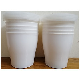 Combo 10 Chậu Trồng Thủy Sinh CĐT Plastic TD 200 Và 10 Rọ Thủy Sinh TS-4