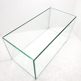 Bể cá mini