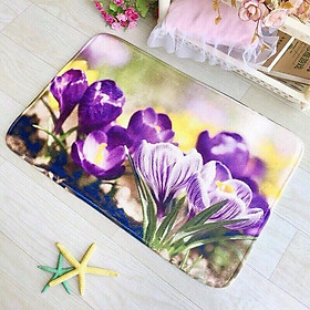 Mua Thảm lau chân họa tiết 3D siêu đẹp - Giao màu ngẫu nhiên