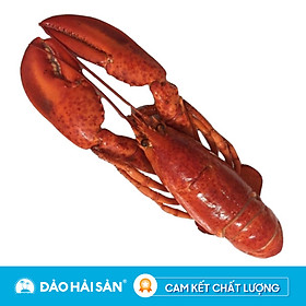 Tôm Hùm Alaska
