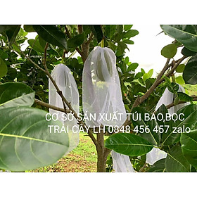 Mua  50*70cm  10 CÁI TÚI BAO  BỌC MÍT THÁI LƯỚI TỐT KÍCH THƯỚC 50*70 -TÚI BAO BỌC TRÁI CÂY