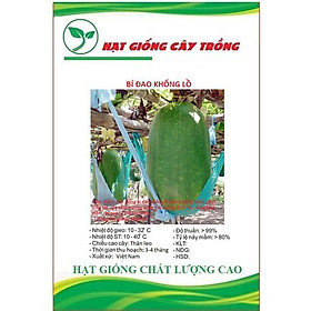 Hạt Giống Bí Đao Xanh Khổng Lồ F1 CT563 - Gói 5 hạt