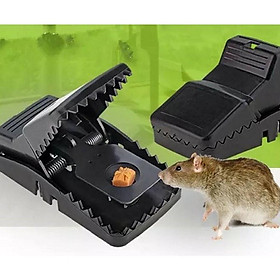 Mua Bẫy chuột thông minh diệt hết giống chuột ở nhà của bạn