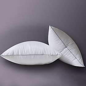 Mua Ruột Gối Tựa Lưng Cao Cấp - PA9043 (45 x 45 cm)
