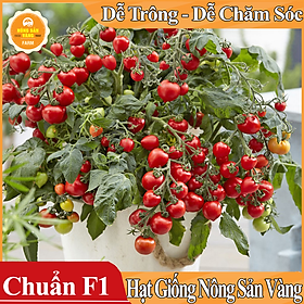 Hạt giống Cà Chua Bi Đỏ Lùn ( Gói 20 Hạt ) - Nông Sản Vàng