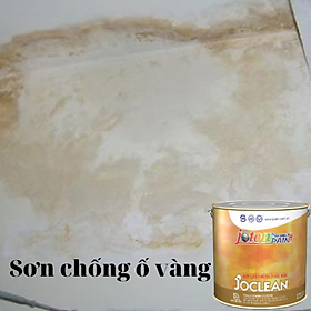 Mua Sơn chống ố gốc dầu bảo quản tường trong nhà và ngoài trời- Lon 1L và 3L