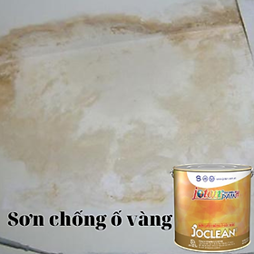 Sơn chống ố gốc dầu bảo quản tường trong nhà và ngoài trời- Lon 1L và 3L