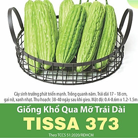 Mua Hạt Giống Khổ Qua Mỡ Trái Dài TISSA 373 gói 2gr ( Mướp Đắng)  Trồng Quanh Năm  Trái Dài 17-18cm  Thu sau 38-40 Ngày