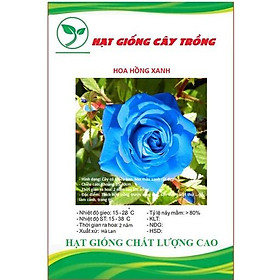 Hạt giống hoa hồng xanh CT249 - Gói 10 hạt