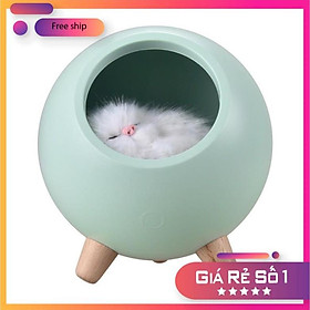 Mua Đèn mèo bông cảm ứng dễ thương