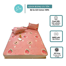 Mua Chiếu Điều Hòa Cao Su Non Latex 5D Dâu Hồng