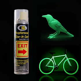 Mua Sơn xịt dạ quang phosphorescent phát sáng ban đêm Bosny - Thái Lan