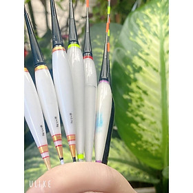 Phao Điện Đổi Màu Đồ Câu Văn Chương